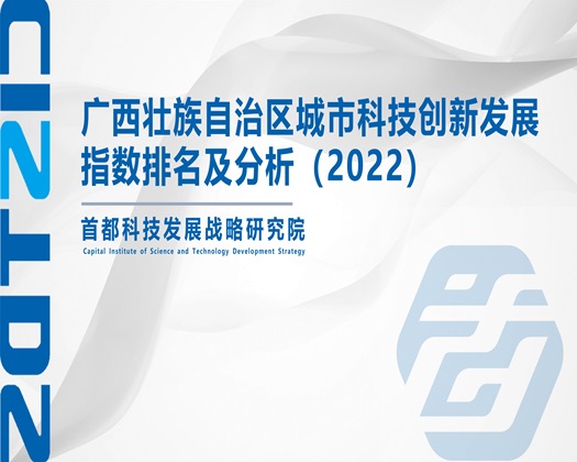 女人的小骚逼【成果发布】广西壮族自治区城市科技创新发展指数排名及分析（2022）